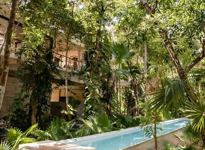 Casa Blanca By The Caribbean Sea Apartamento *